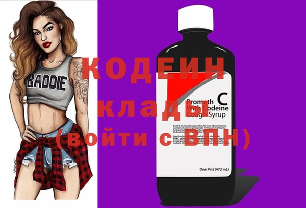 дмт Арсеньев
